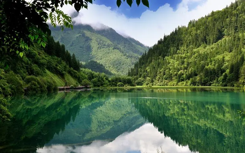 先进绿色